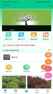 苗木人截图