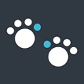 十大体育网站注册APP网相关图片