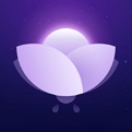 体育app哪个软件好游戏截图3