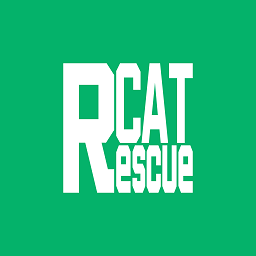 救援猫游戏图标
