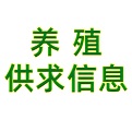 养殖供求<font color='red'>信息</font>平台