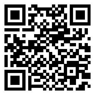 视频铃声来电秀