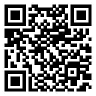 私夜视频播放器