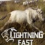 Lightning Fast中文版