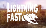 Lightning FastLOGO