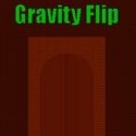 Gravity Flip