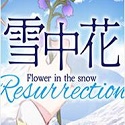 雪中花