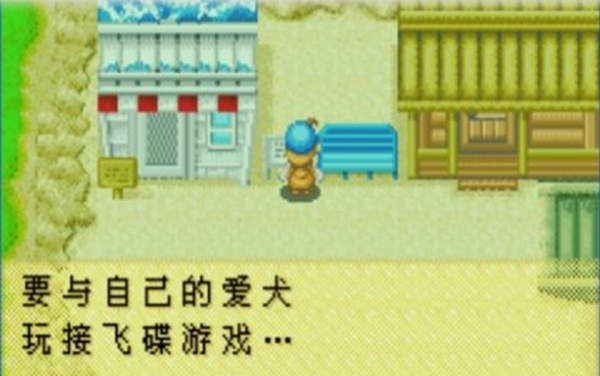 牧场物语矿石镇的伙伴们截图