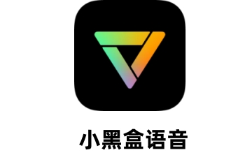 黑盒语音LOGO