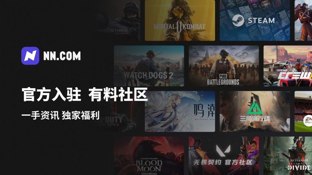 NN语音截图