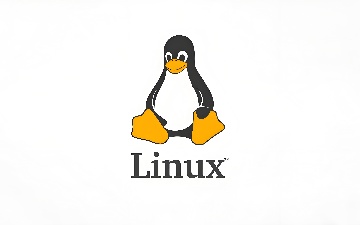 Linux 6.13版本新增SDUC存储卡支持：容量高达128TB，速度可达985MB/s