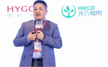 万亿模型倒逼产业升级，国产基础软件迈入快车道