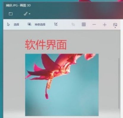文章配图