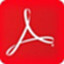 Adobe Acrobat XI2021