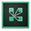 Adobe Connect2021