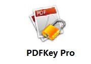 PDFKey Pro段首LOGO