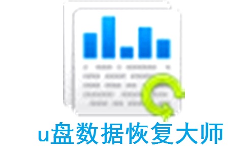 u盘数据恢复大师段首LOGO