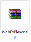 WebEx Player截图