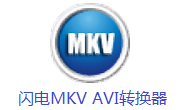 闪电MKV AVI转换器段首LOGO