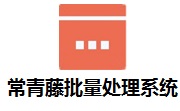 常青藤批量处理系统段首LOGO
