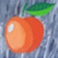 Apricot DB2.5 最新版