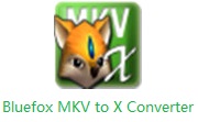 Bluefox MKV to X Converter段首LOGO