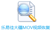 乐易佳大疆MOV视频恢复段首LOGO