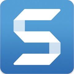 SnagIt(屏幕捕抓軟件)