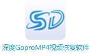 深度GoproMP4视频恢复软件段首LOGO