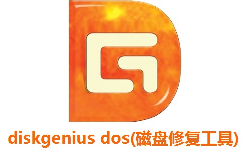 diskgenius dos(磁盘修复工具)段首LOGO