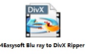 4Easysoft Blu-ray to DivX Ripper段首LOGO