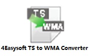 4Easysoft TS to WMA Converter段首LOGO