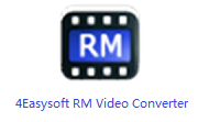 4Easysoft RM Video Converter段首LOGO