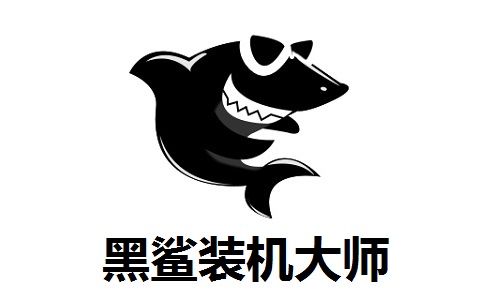 黑鲨装机大师段首LOGO