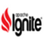 Apache Ignite2.9.1 中文版