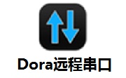Dora远程串口段首LOGO