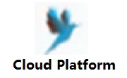Cloud Platform段首LOGO