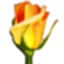Rosegarden