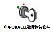 ORACLE数据恢复段首LOGO