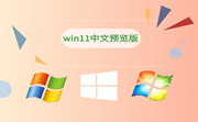 win11中文预览版段首LOGO