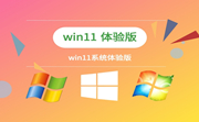 win11系统体验版段首LOGO