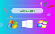 win11 pro段首LOGO