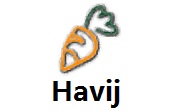 Havij段首LOGO