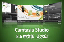 Camtasia Studio段首LOGO