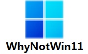 WhyNotWin11段首LOGO