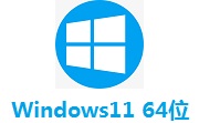 Windows11 64位专业版段首LOGO