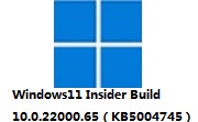 Windows11 Insider Build 10.0.22000.65（KB5004745）段首LOGO