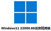 Windows11 22000.65适度精简版段首LOGO