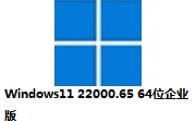 Windows11 22000.65 64位企业版段首LOGO