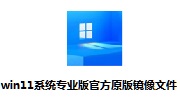 win11系统专业版官方原版镜像文件段首LOGO